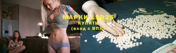 МДПВ Вяземский