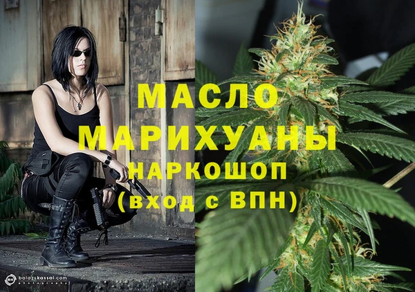 МДПВ Вяземский