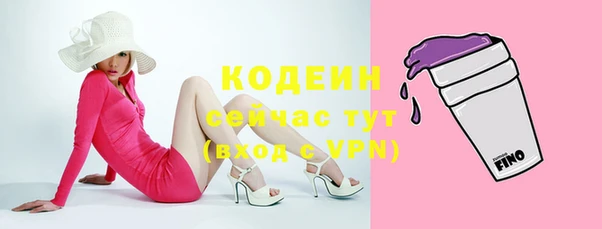 МДПВ Вяземский