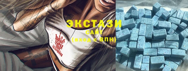 МДПВ Вяземский