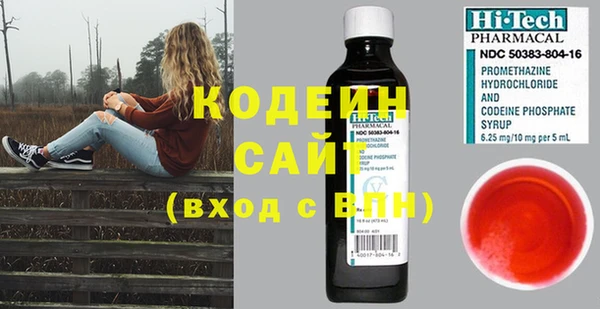 МДПВ Вяземский