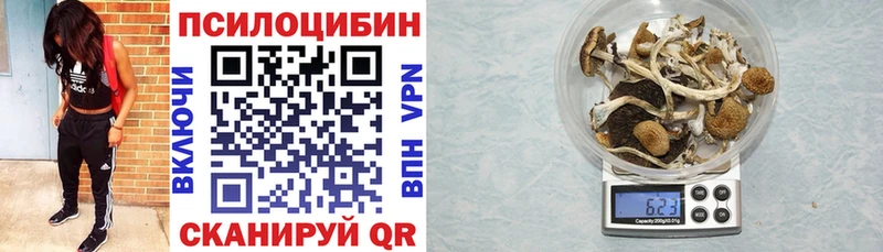 Псилоцибиновые грибы мухоморы  цена   Дудинка 