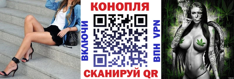 продажа наркотиков  Дудинка  Бошки марихуана конопля 